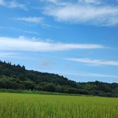 薪（リピーター様向け窓口）の画像