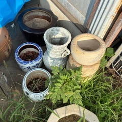 無料！早い者勝ち！江南市！鉢、火鉢、花瓶差し上げますの画像