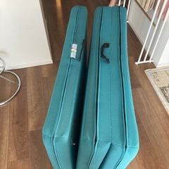 マニフレックスの画像