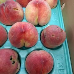 訳あり桃の画像