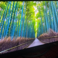在庫整理〜格安〜早い物勝ち！AQUOS 50インチ液晶テレビ　4T-C50AJ1美品①の画像