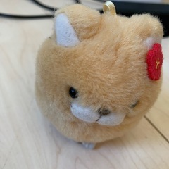 ぬいぐるみの画像