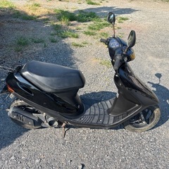 【中古】 絶対譲れないっ/ハイランド/魚住知加 ホンダ ライブDio ZX｜バイク王 つくば絶版車館｜新車