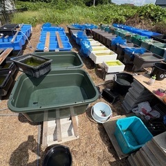 三色体外光の画像