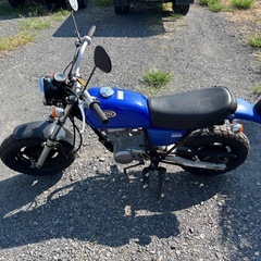 1098.動画あり　ホンダ　エイプ50 APE 原付　バイク　50cc 車体　埼玉の画像