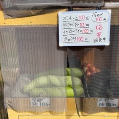 ほとんど100円野菜の画像