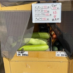 ほとんど100円野菜の画像