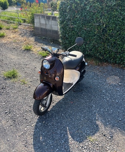 中古品 6/25まで。ホンダ ライブディオ 限定特価 / AF34 原付 バイク