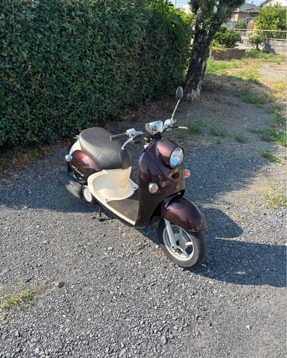 1102.動画あり ヤマハ ビーノ SA37J 原付 バイク 50cc 車体 【公式通販】