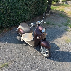1102.動画あり　ヤマハ　ビーノ　SA37J 原付　バイク　50cc 車体の画像