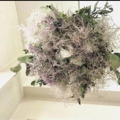 スモークツリー　hjの画像