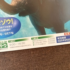 サファリパーク　チケットの画像
