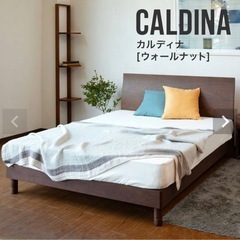 ドイツ製　センベラ ダブルベッド カルディナ タモの画像
