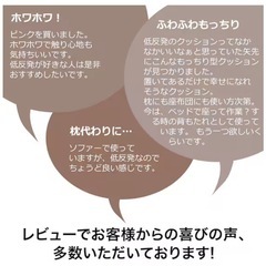 ニトリ ホワホワクッション2個の画像