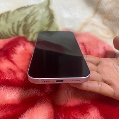 iPhone15本体
の画像