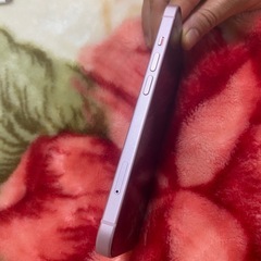 iPhone15本体
の画像