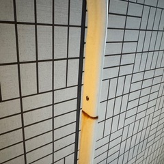 IKEA洋服ラックの画像