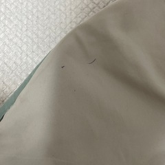 【お譲り先決定】メリーの画像
