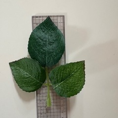 造花　葉っぱの画像