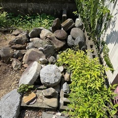 庭石の画像