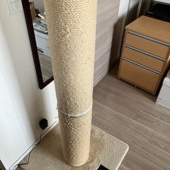 キャットポールのハンモックの画像