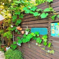 芦屋のスマイル伊勢１F路面店舗の空室出ました！➔➔➔➔➔　　　　...