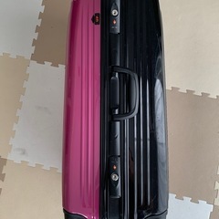 【キャンセル待ちのみ受付中
】キャリーバック、スーツケースの画像