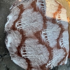 昭和なカーテンの画像