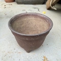 植木鉢11の画像