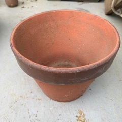 植木鉢13の画像