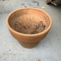 植木鉢15の画像