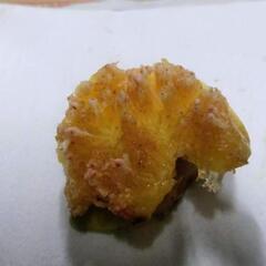 イチジクの画像