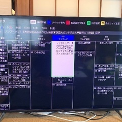 【8/10まで】IRIS OHYAMA 55V型 2021年製の画像