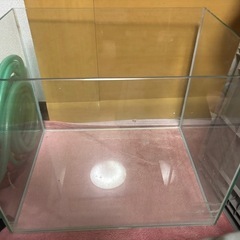 大きな水槽　ガラスの画像