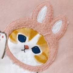【中古・あげます】モフサンド　クッションの画像