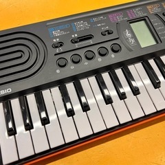 カシオ CASIO 電子 ミニ キーボード SA-76 ミニ鍵盤 電子ピアノ 楽器 鍵盤楽器の画像