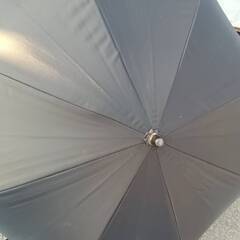 傘⑫の画像