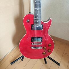 Aria Pro II PE-65の画像