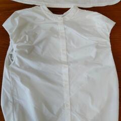 レディース夏服の画像