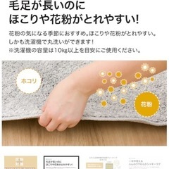 【ニトリ】カーペットマット　の画像