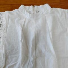 レディース夏服の画像