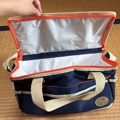 クーラーバッグ15Lの画像