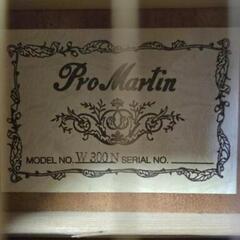 ｢期間限定特価｣Pro Martin W300N 本体のみの画像