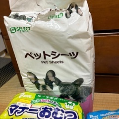 ペット関連グッズまとめ売りの画像