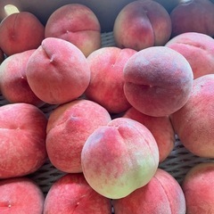 朝採り　桃　笛吹市産　6kg  ご家庭用⑧ の画像