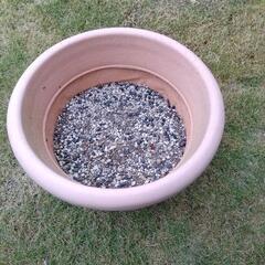 プラスチック植木鉢＊大②の画像
