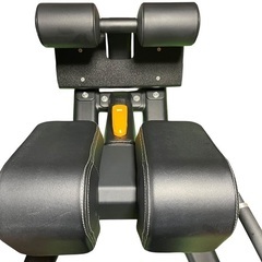 PRECOR バックエクステンション プリコー 背中 筋トレ トレーニングベンチ インクラインベンチの画像