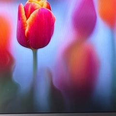 60インチ、BRAVIAの画像