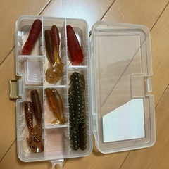 ワーム　　
ケース付きの画像