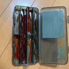 ワーム　　
ケース付きの画像